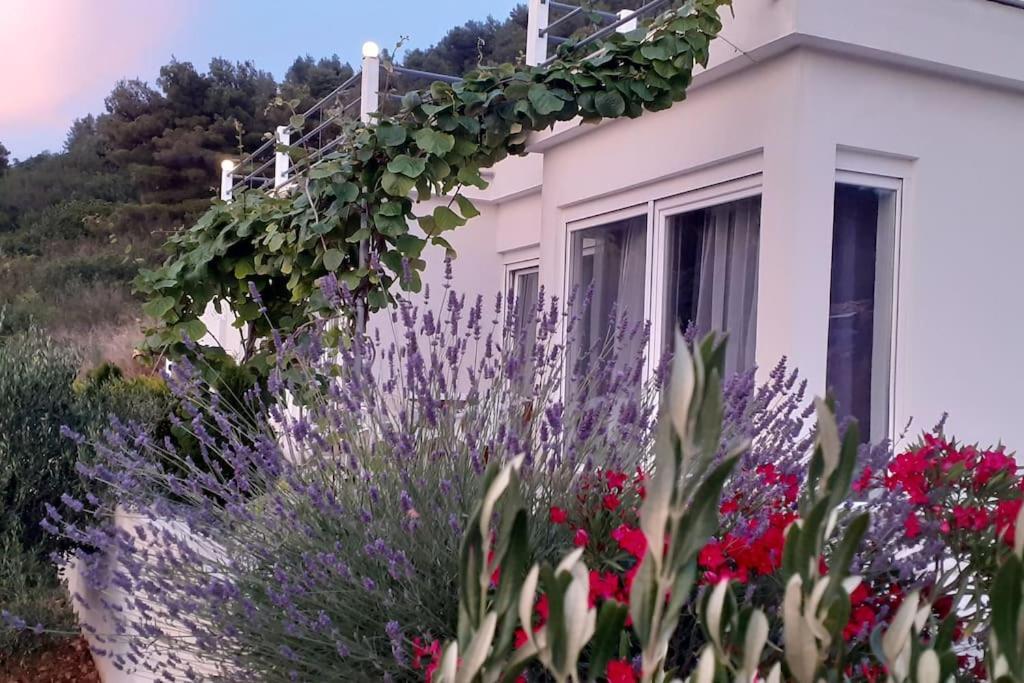 Vis - Luxury Holiday Villa With Swimming Pool 外观 照片